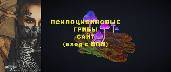 винт Няндома