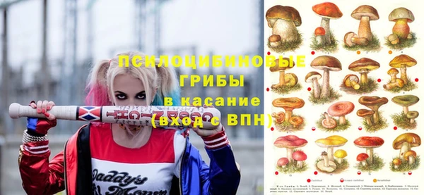 винт Няндома