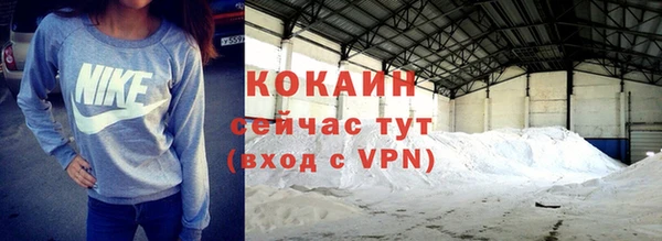 винт Няндома
