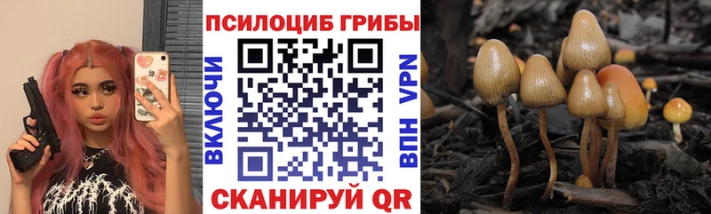 Галлюциногенные грибы Magic Shrooms  mega ONION  Кущёвская 